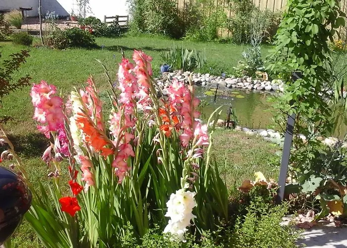 L Atelier Bed & Breakfast Casteljaloux